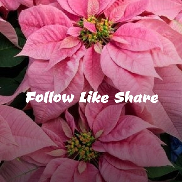 Please Follow my new game! ๐๐ - Picture 9 of 9